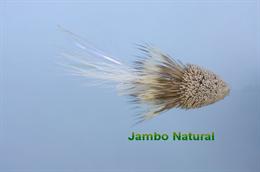 Jambo Wake Fly
